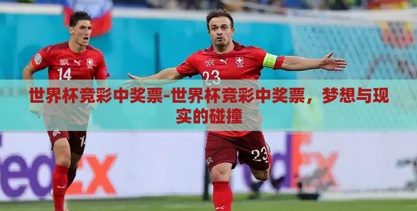 世界杯竞彩中奖票-世界杯竞彩中奖票，梦想与现实的碰撞