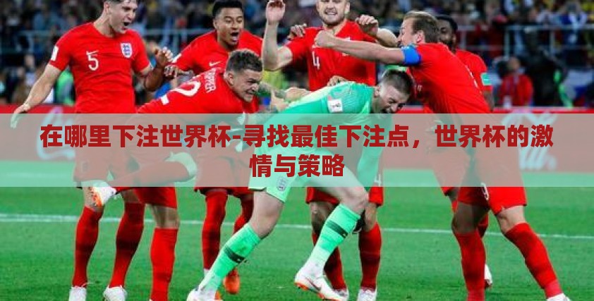 在哪里下注世界杯-寻找最佳下注点，世界杯的激情与策略
