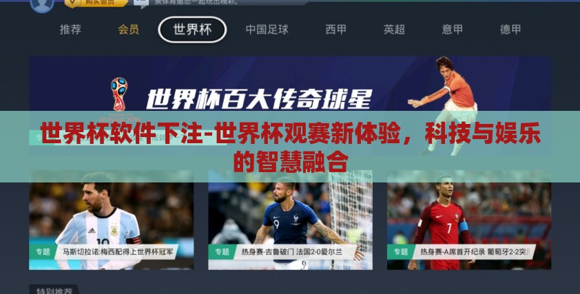 世界杯软件下注-世界杯观赛新体验，科技与娱乐的智慧融合