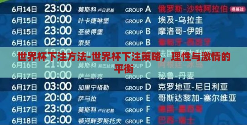 世界杯下注方法-世界杯下注策略，理性与激情的平衡