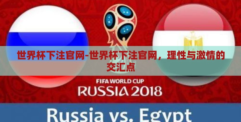 世界杯下注官网-世界杯下注官网，理性与激情的交汇点