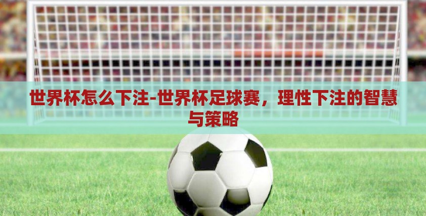 世界杯怎么下注-世界杯足球赛,理性下注的智慧与策略 世界杯怎么下注-世界杯足球赛,理性下注的智慧与策略